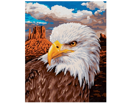 Раскраска по номерам Schipper Белоголовый орлан